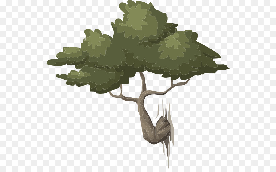 Natureza，árvore PNG