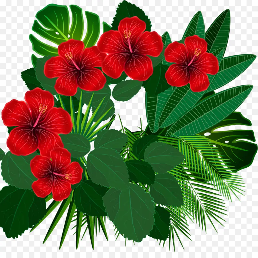 Design Floral，Trópicos PNG