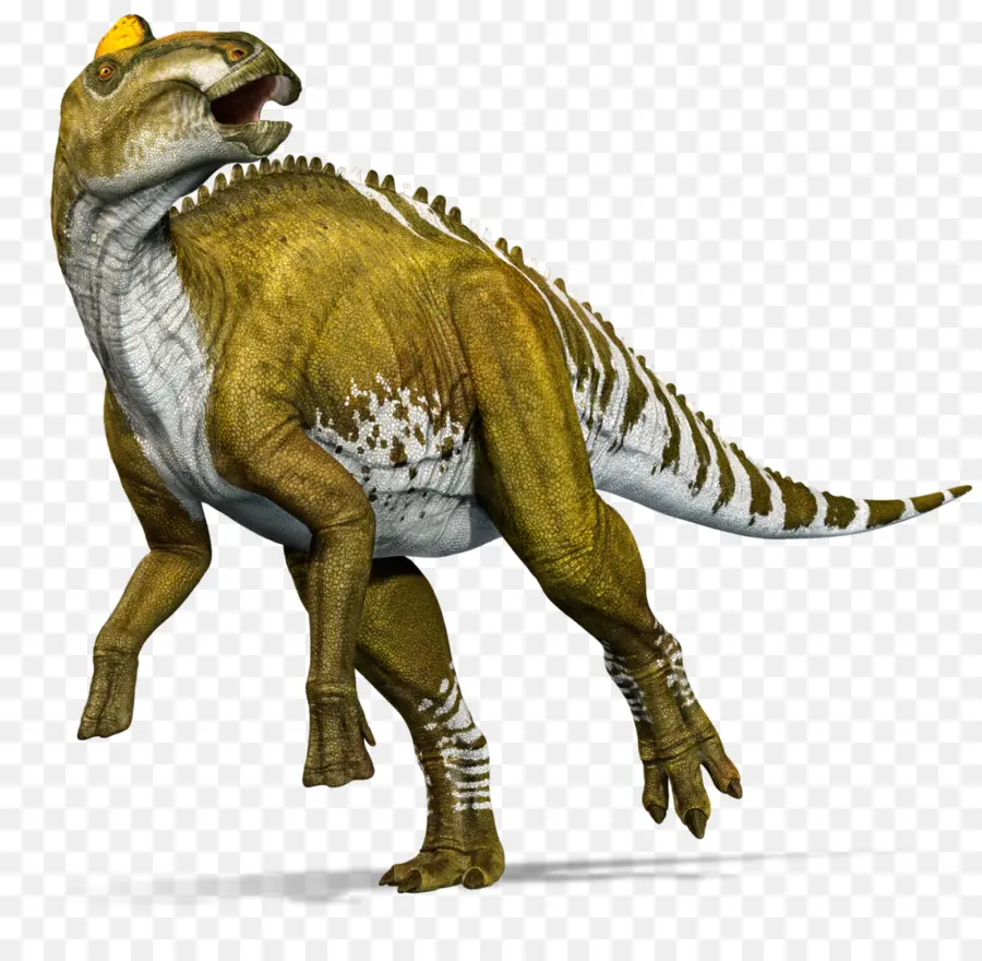 Dinossauro，Pré Histórico PNG