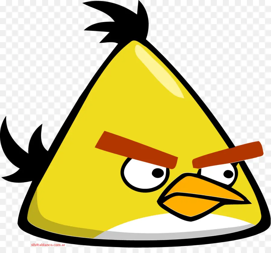 Angry Birds Space，Aves PNG