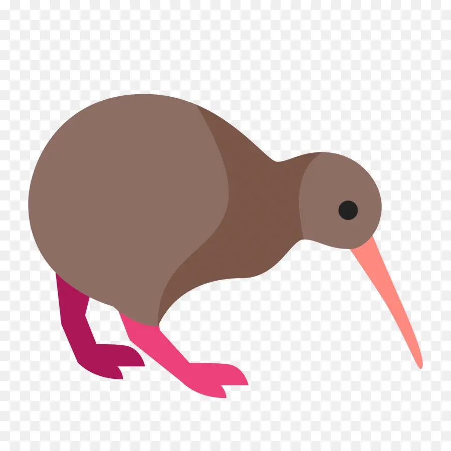 Pássaro Kiwi，Marrom PNG