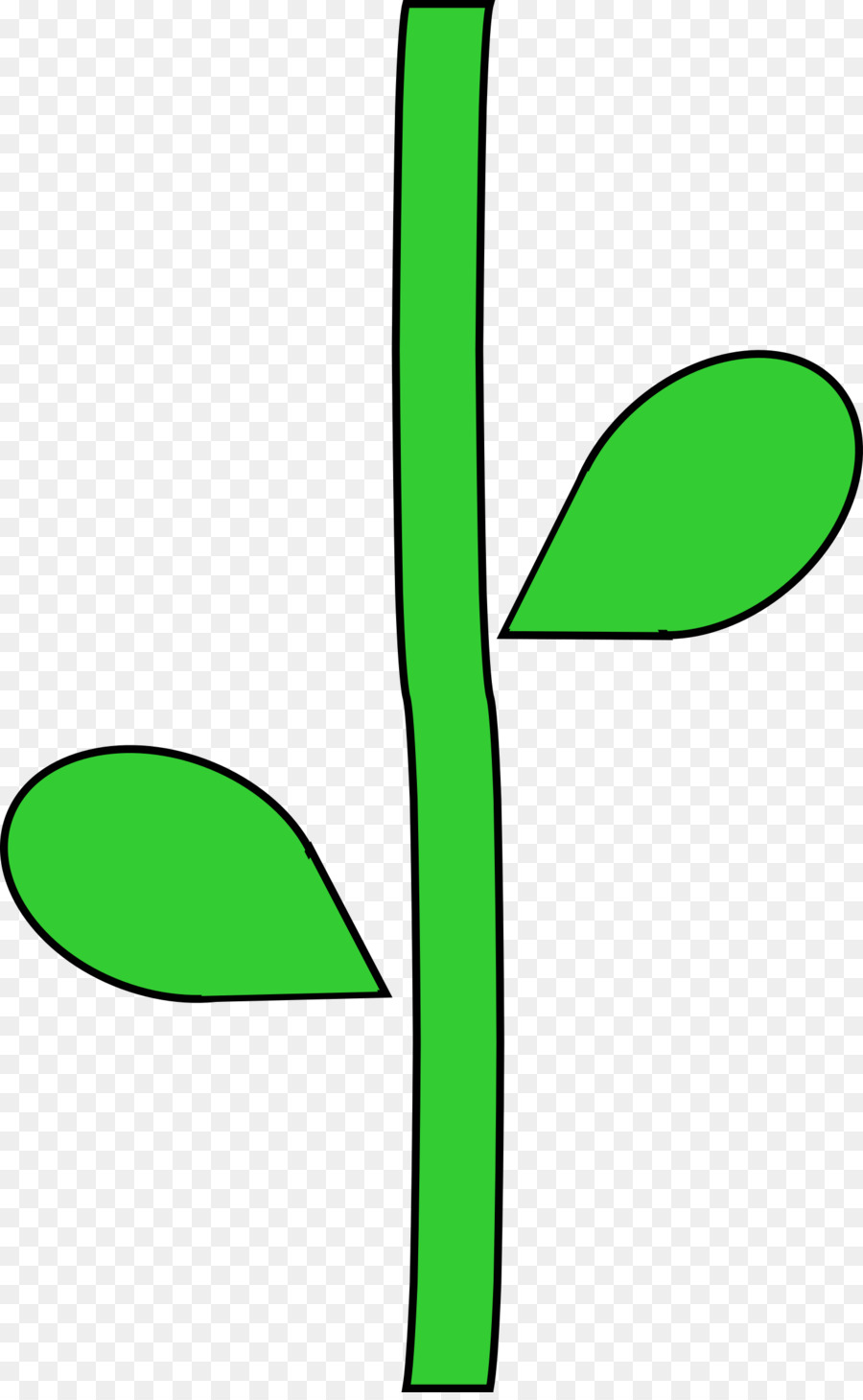 Caule Da Planta，Folha PNG