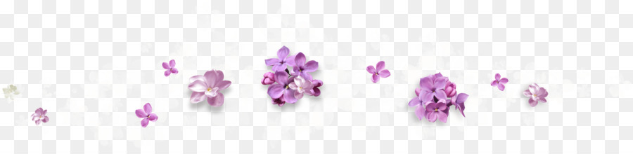 Roxo，Flor PNG