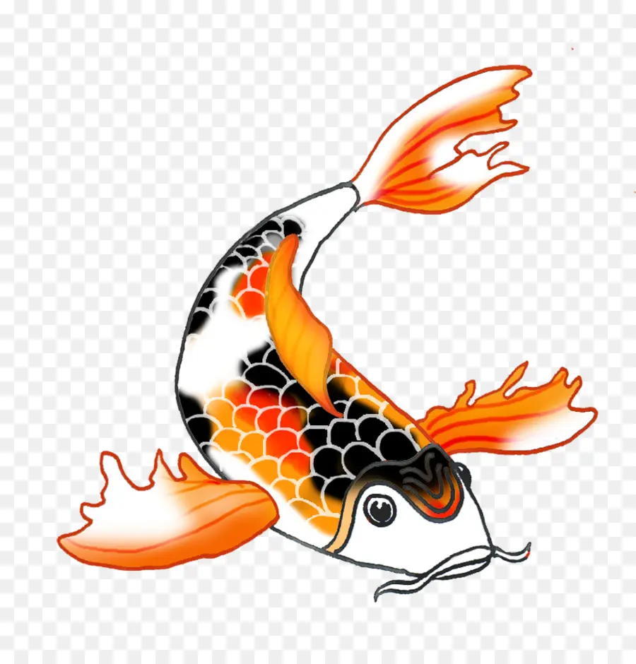 Koi，Peixe PNG