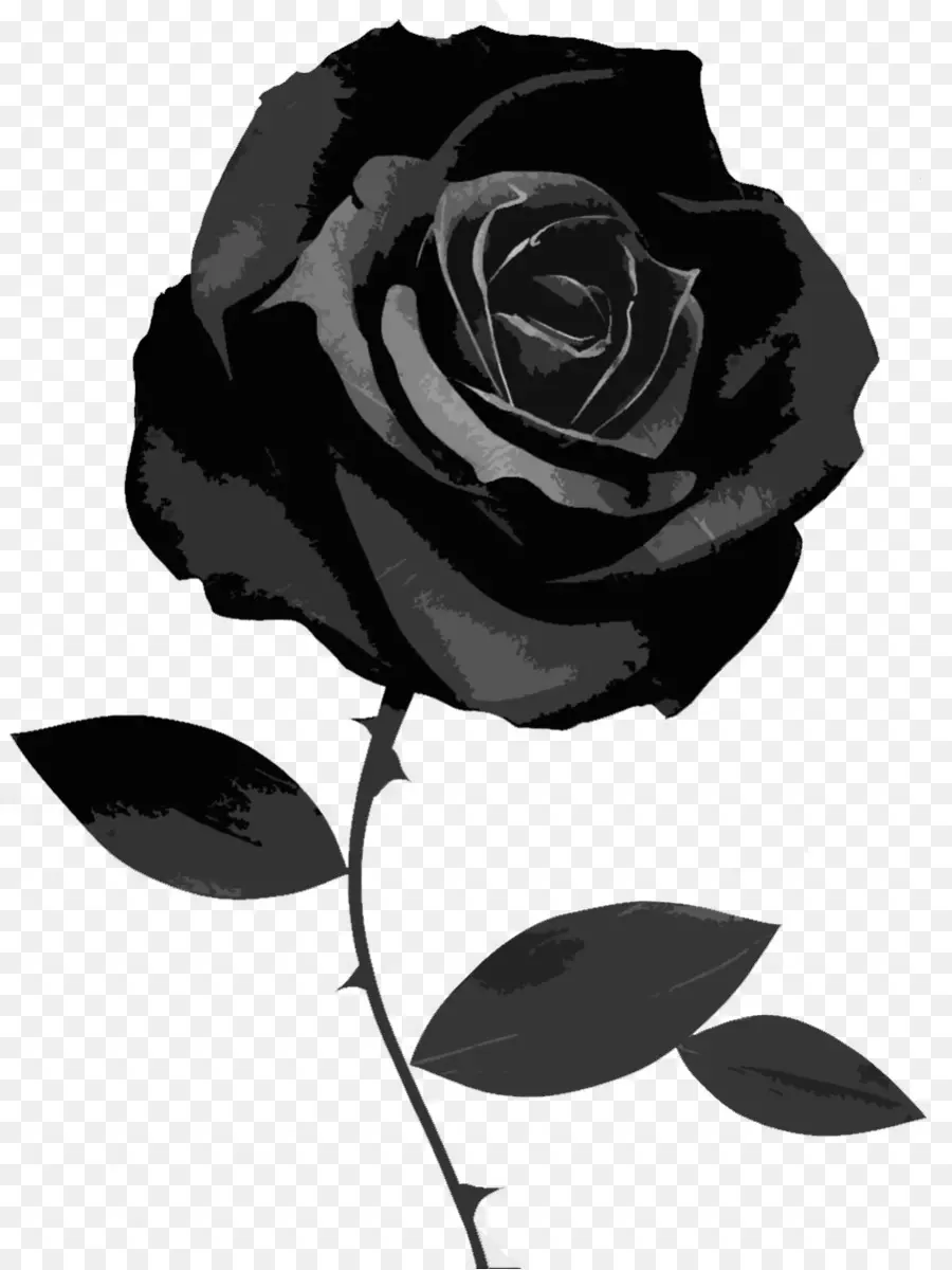 Black Rose，Rosa PNG