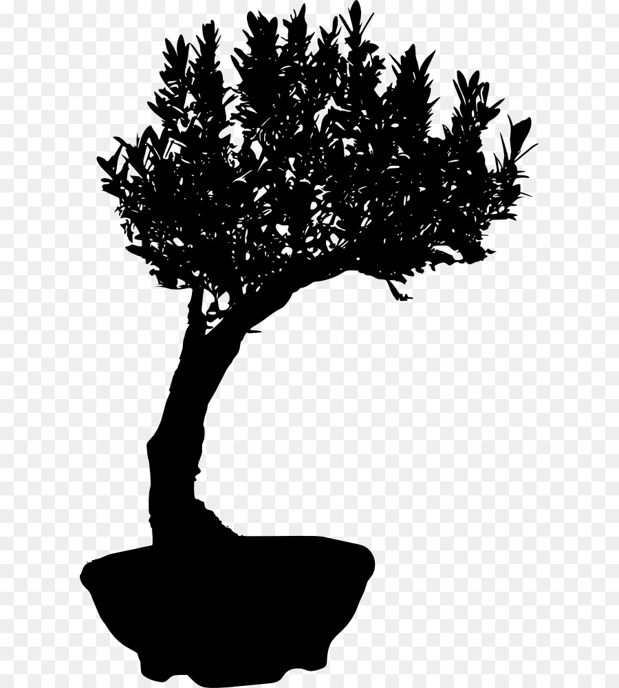 Árvore Bonsai，Miniatura PNG