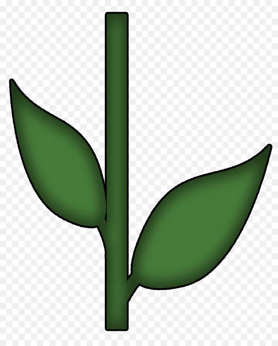 Planta De Haste，Flor PNG