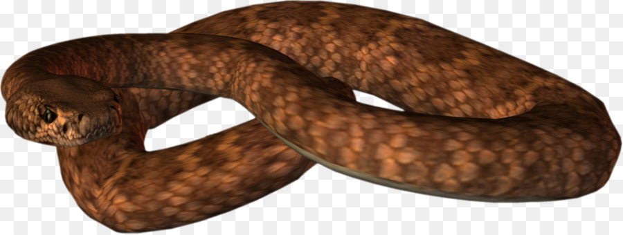 Cobra，Répteis PNG