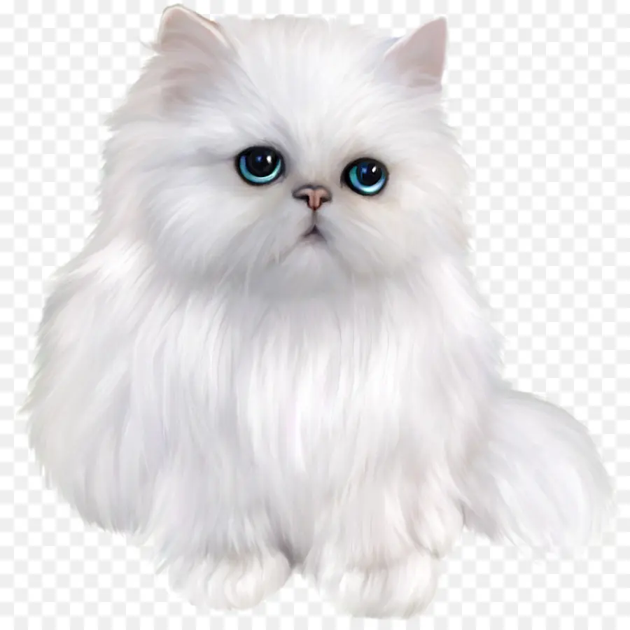 Gato Persa，Siamese Cat PNG