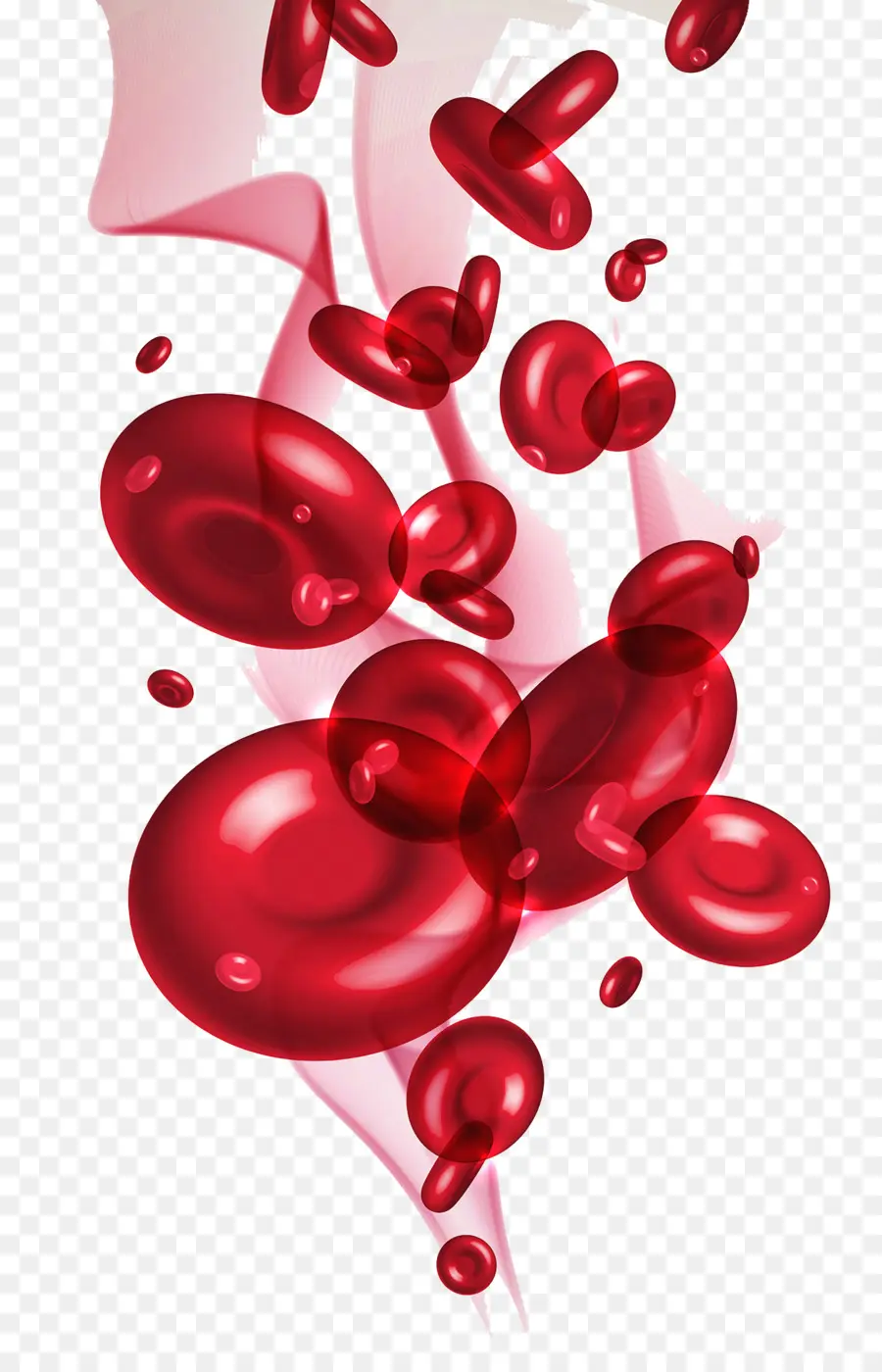 Células Vermelhas Do Sangue，Célula PNG
