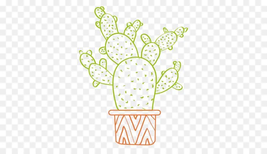 Cactus E Suculentas，Cactaceae PNG