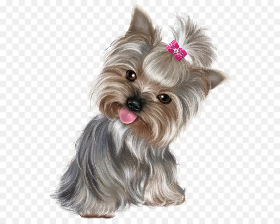 Cachorrinho Fofo Com Laço，Cachorro PNG