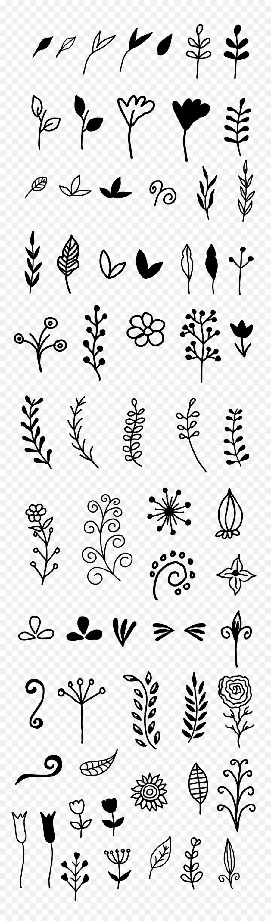 Flores Doodle，Plantas PNG