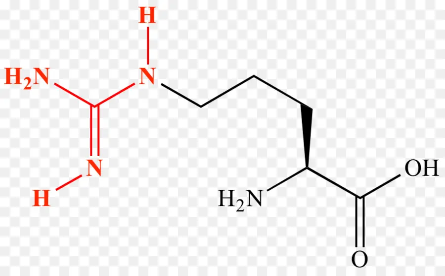 Estrutura Química，Molécula PNG