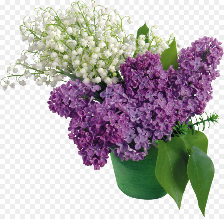 Flores，Ramalhete PNG