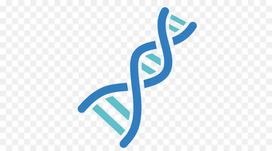 Genética，ícones Do Computador PNG