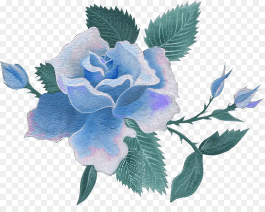 Rosa Azul，Folhas PNG