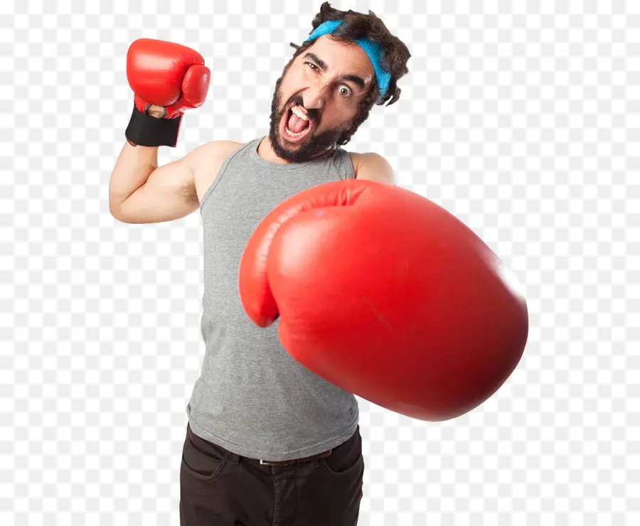 Boxer，Luvas PNG