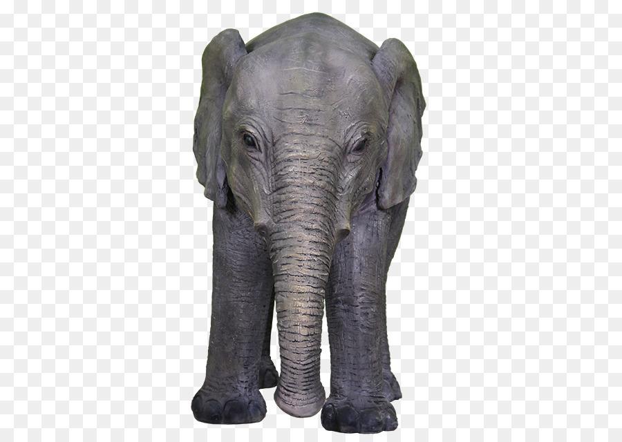 Hollywood，Elefante Africano PNG