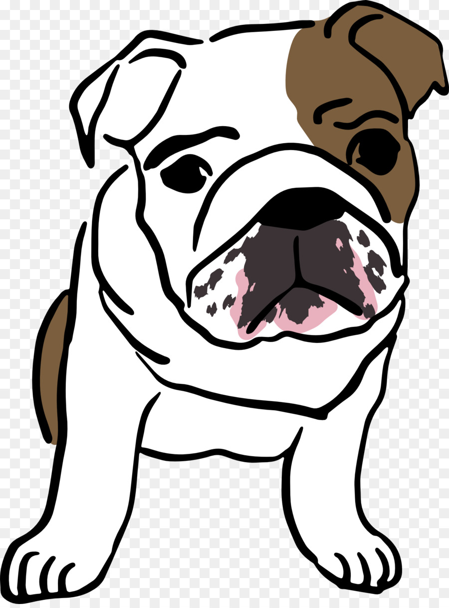 Buldogue，Cachorro PNG