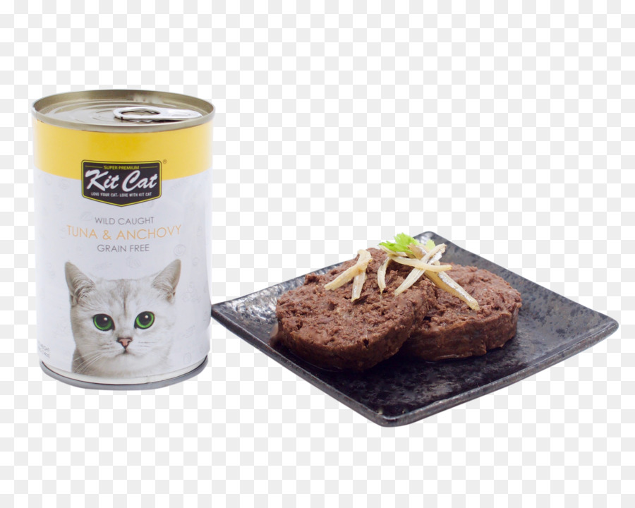 Gato，Comida De Gato PNG