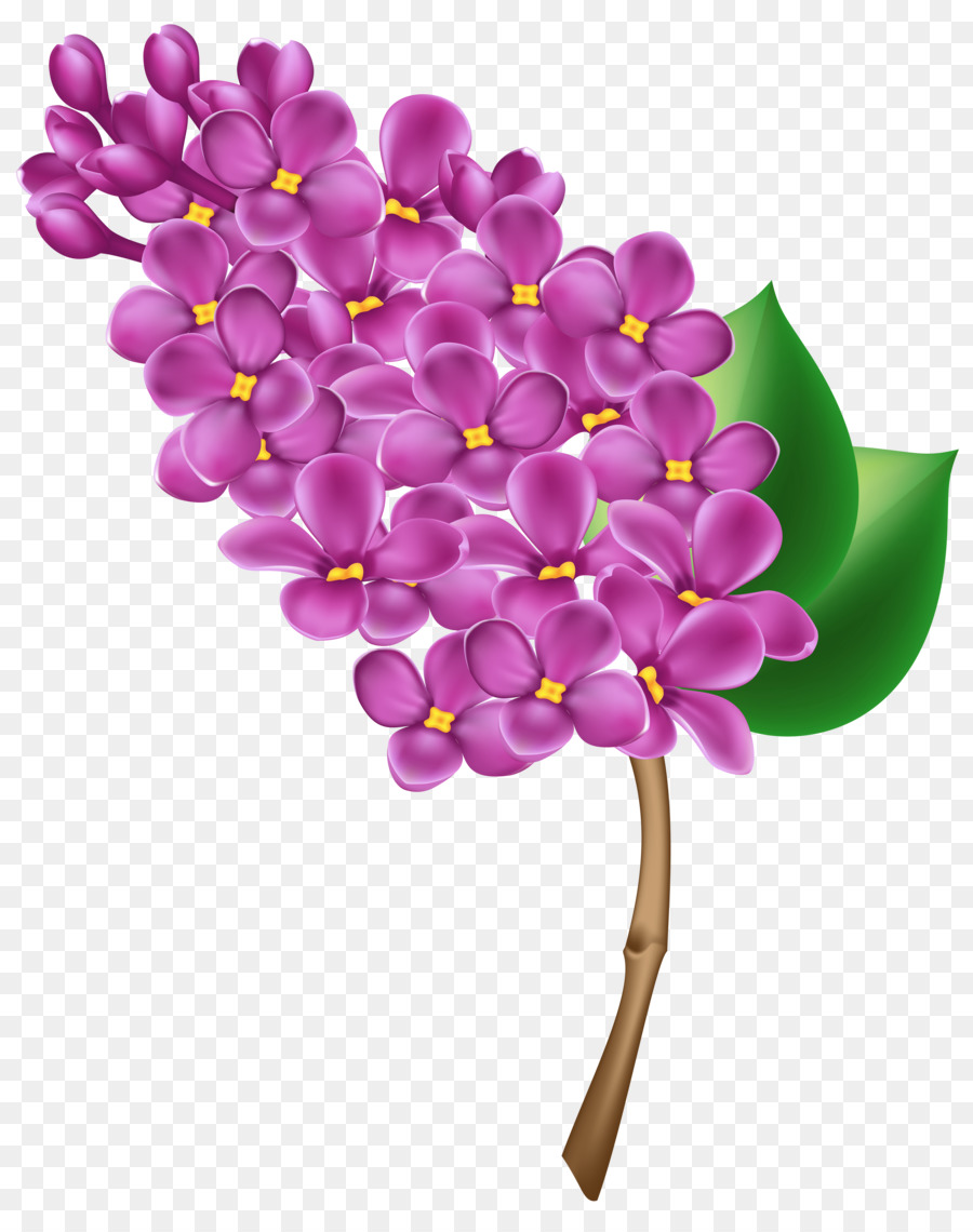 Flor，Florescer PNG