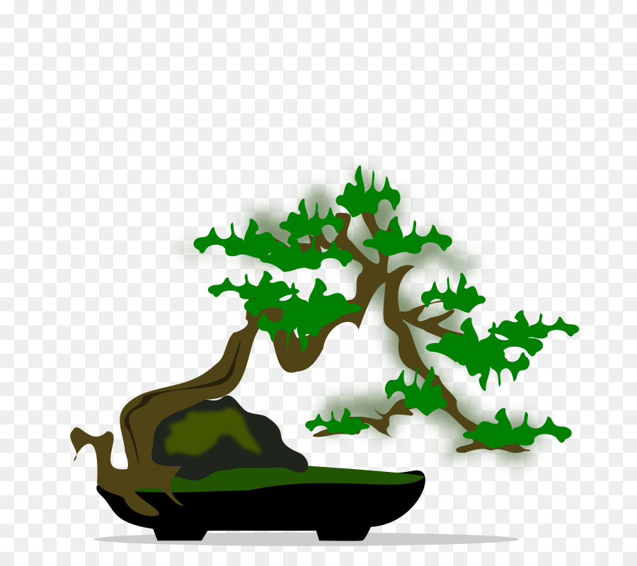 Árvore Bonsai，Pote PNG