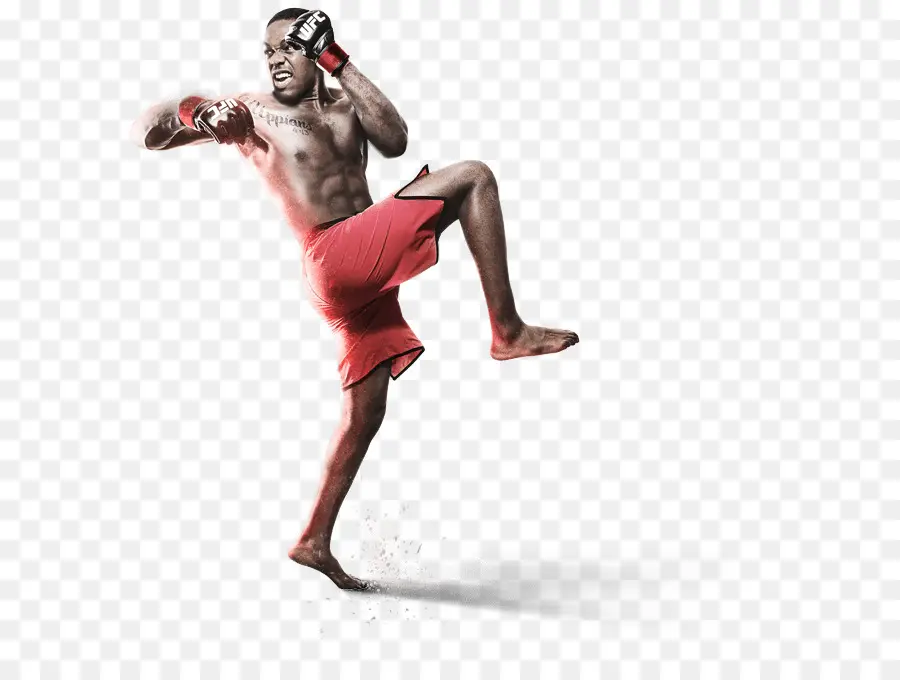 Ea Sports Ufc，Ufc 197 Jones Vs Saint Preux PNG