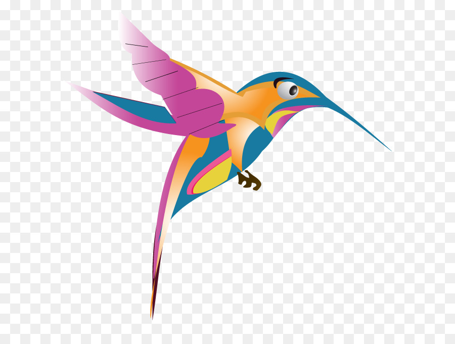 Colibri，Pássaro PNG