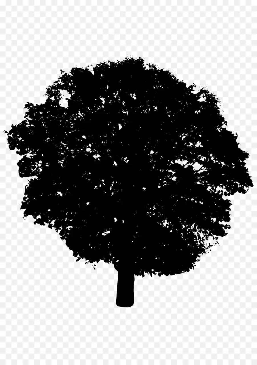 Silhueta，árvore PNG