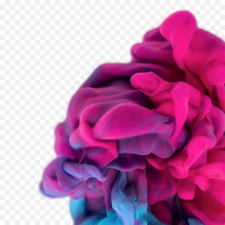 Cor De Rosa，Magenta PNG