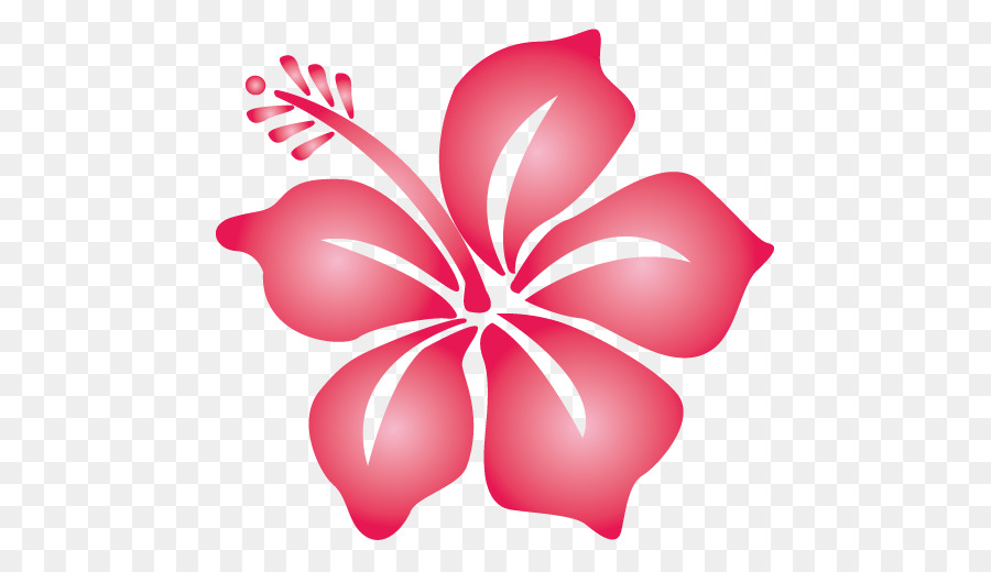 Hibisco，Vermelho PNG