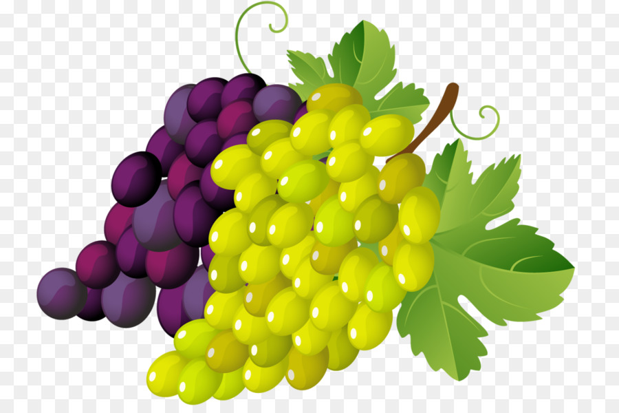 Uvas，Videira PNG