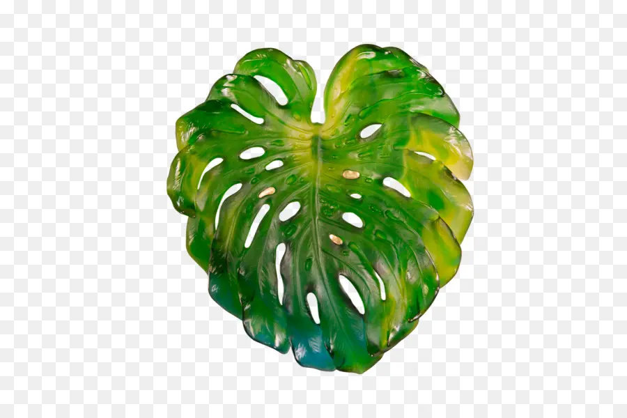 Queijo Suíço Planta De，Folha PNG