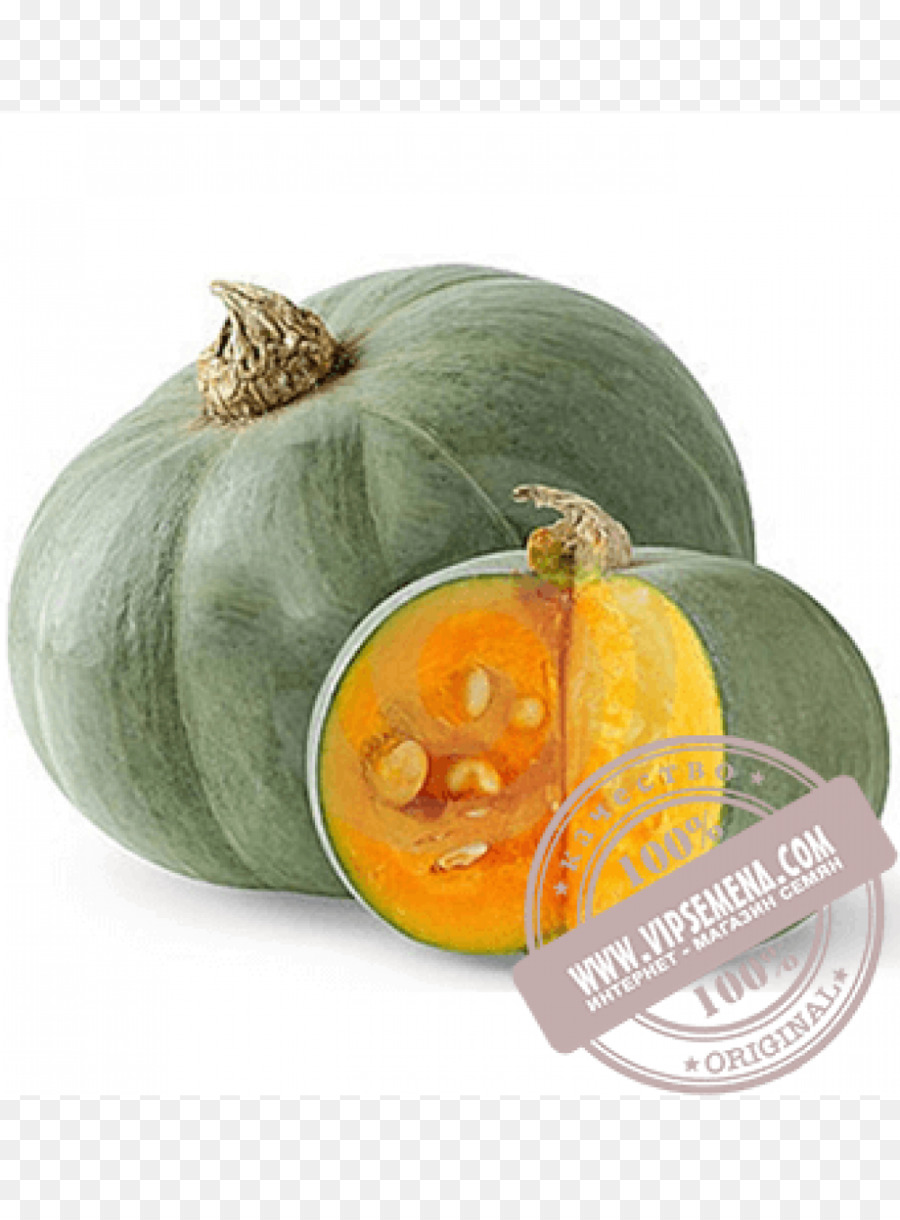 Crookneck Abóbora，Cucurbita Maxima PNG