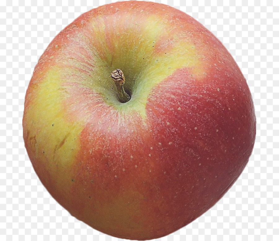 Nova Inglaterra，Apple PNG