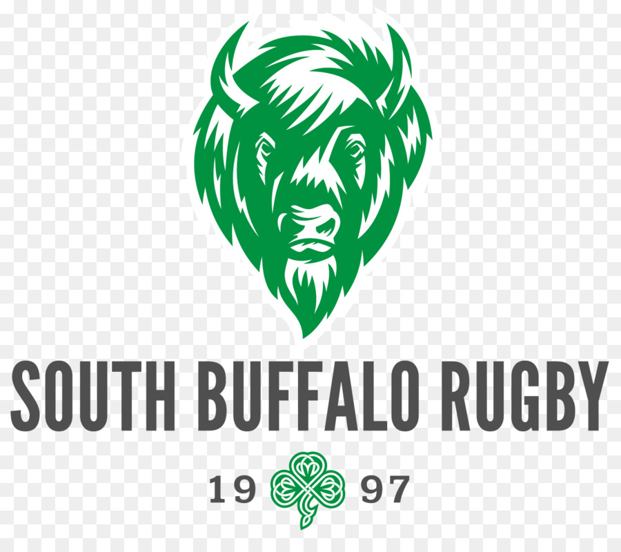 Buffalo，Bison PNG