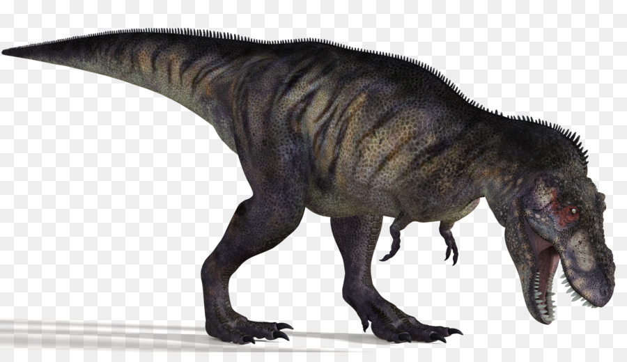 Albertosaurus，Bistahieversor PNG