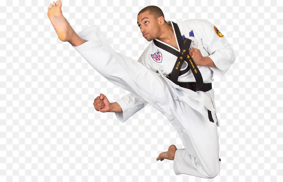 American Taekwondo Association，Taekwondo PNG