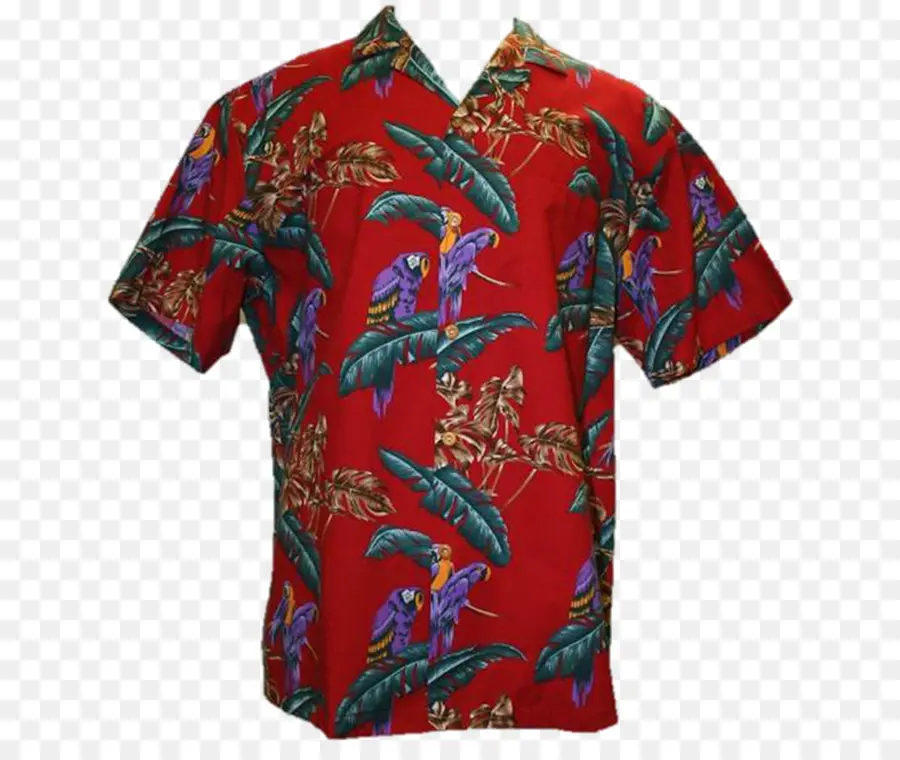 Havaí，Tshirt PNG