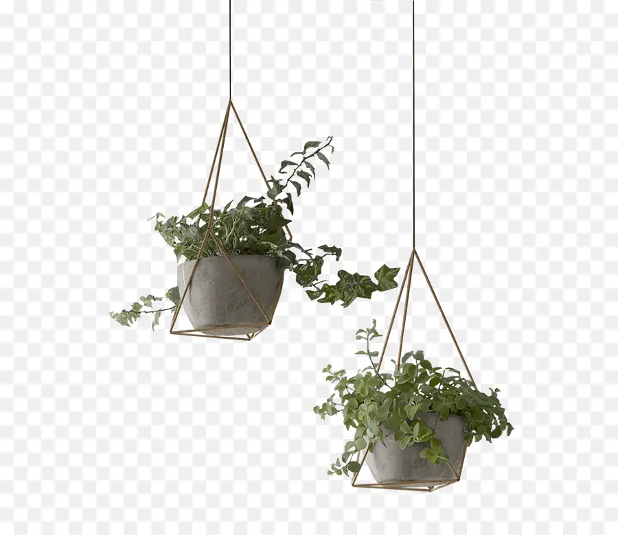 Planta，Flowerpot PNG