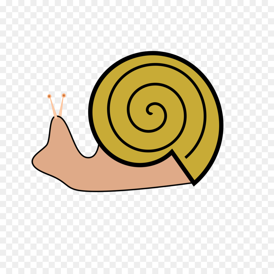 Caracol Cinzento，Concha PNG