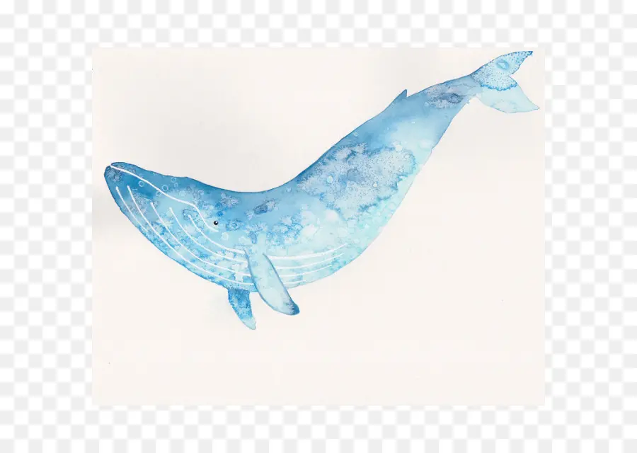Baleia，Pintura Em Aquarela PNG