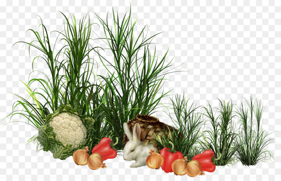 Vegetal，Flowerpot PNG