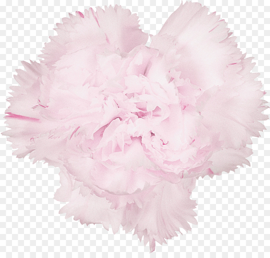 Pena Rosa，Macio PNG