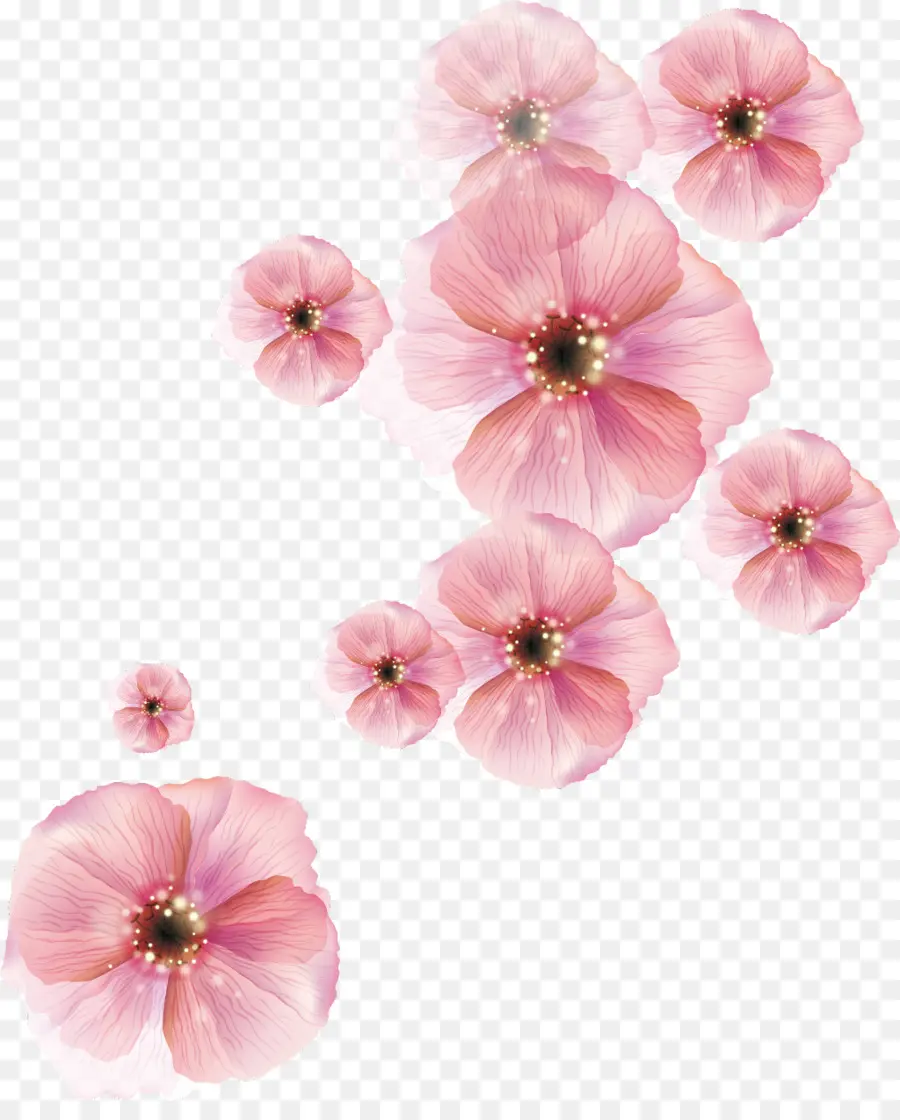 Flor，Encapsulated Postscript PNG