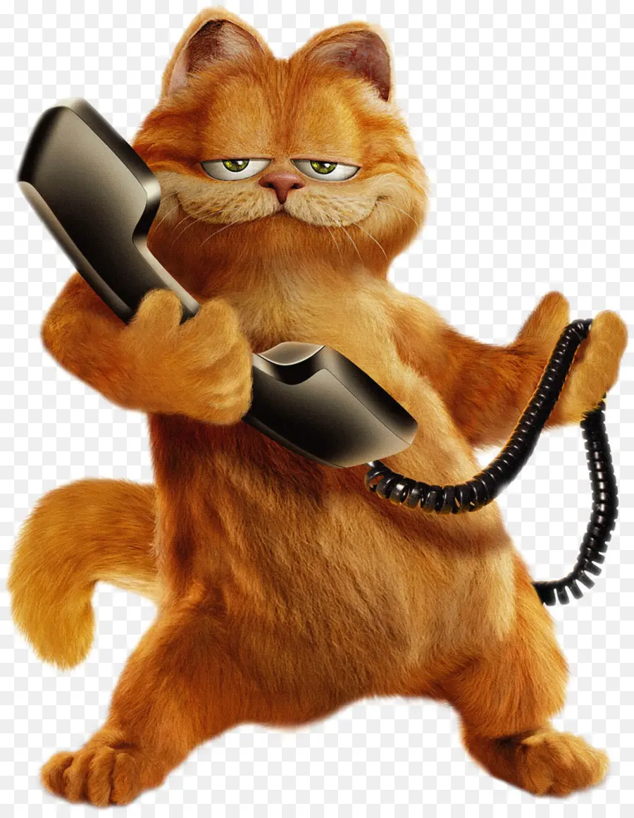 Gato Com Telefone，Telefone PNG