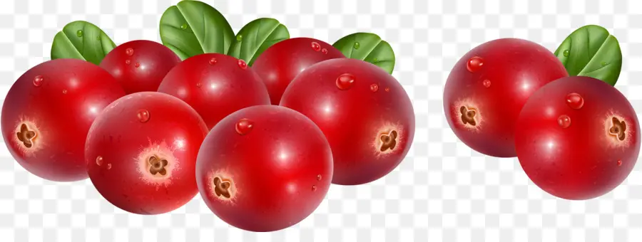 Cranberries，Vermelho PNG