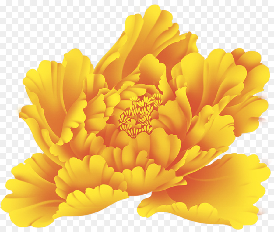 Flor Amarela，Florescer PNG