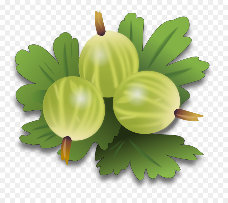 Groselhas，Fruta PNG